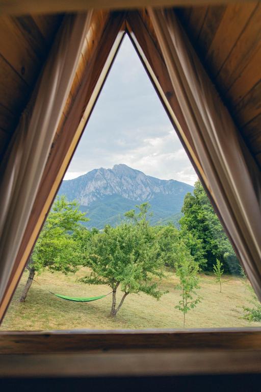 Nature around Sutjeska National Park base camp