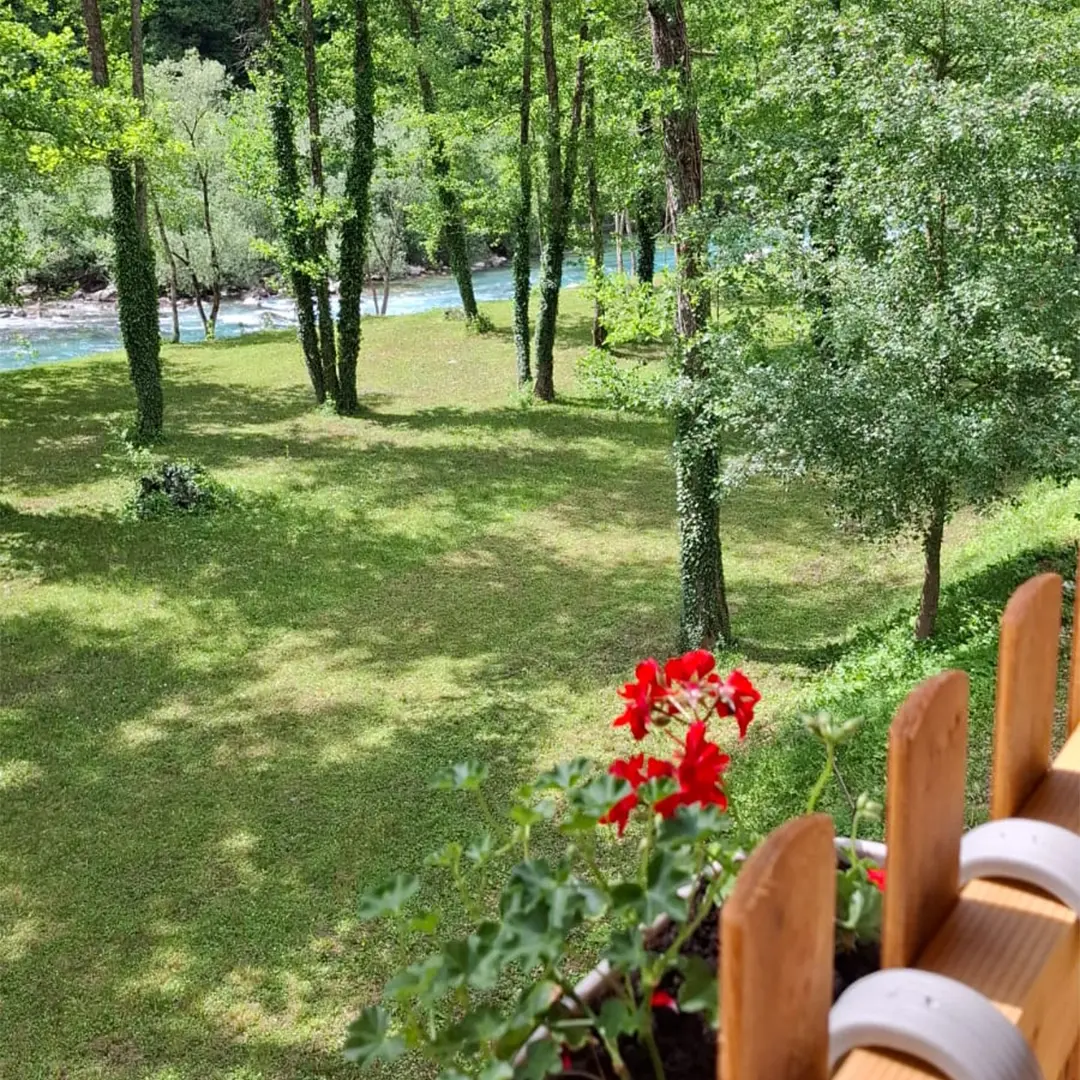 Campsite view