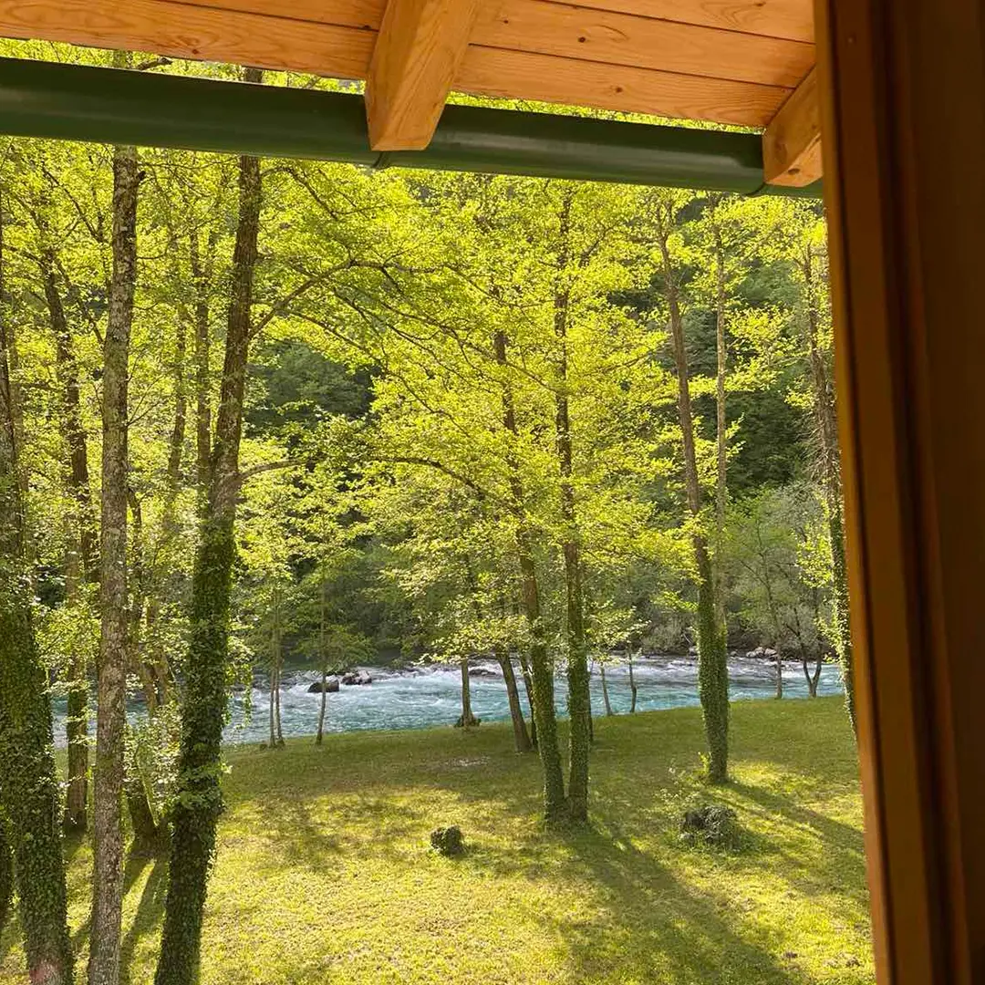 Campsite view