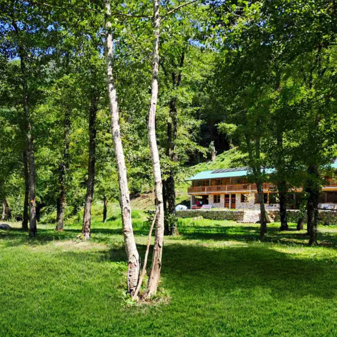 Campsite view