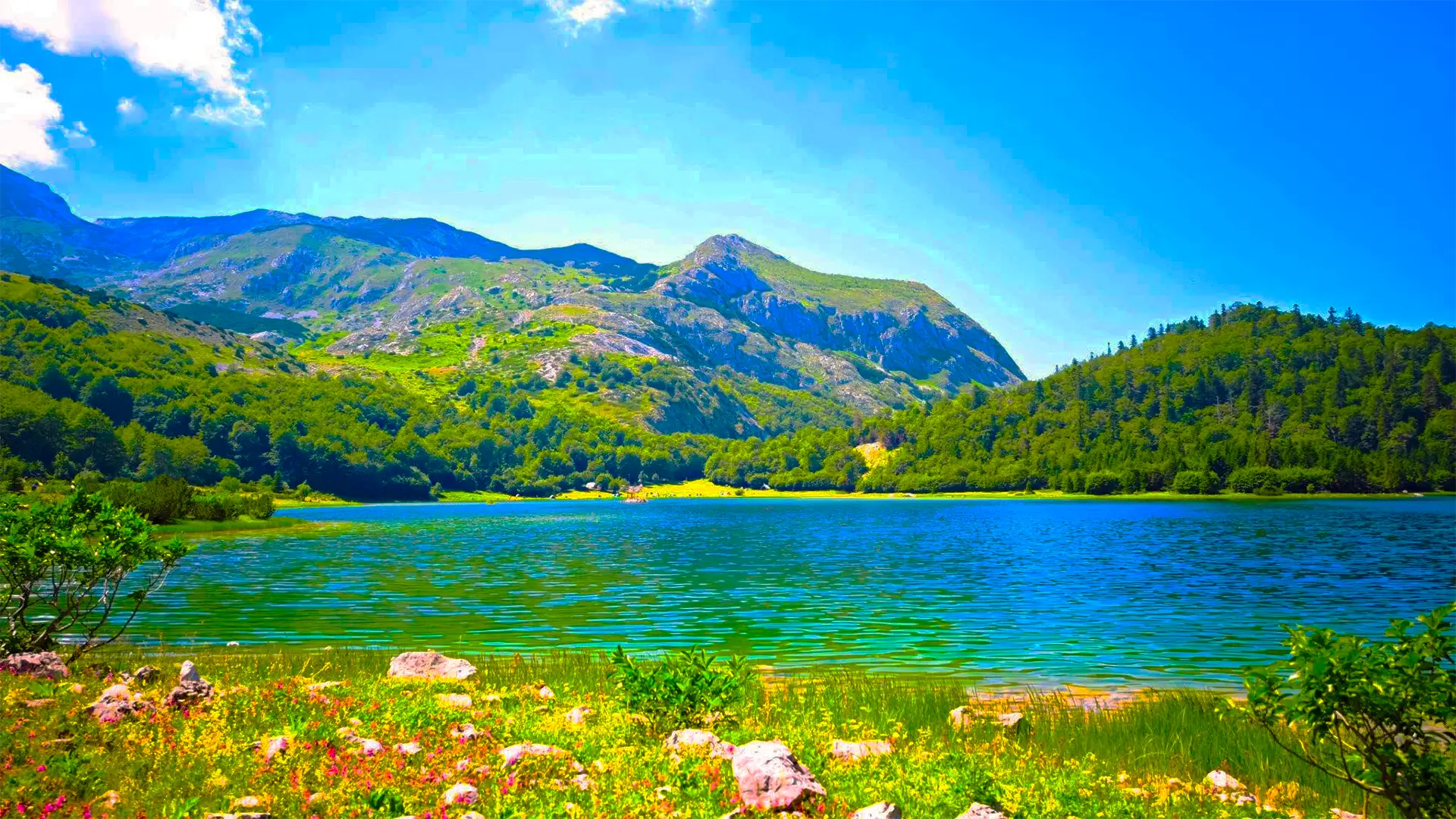Rafting and Trnovačko Lake tour